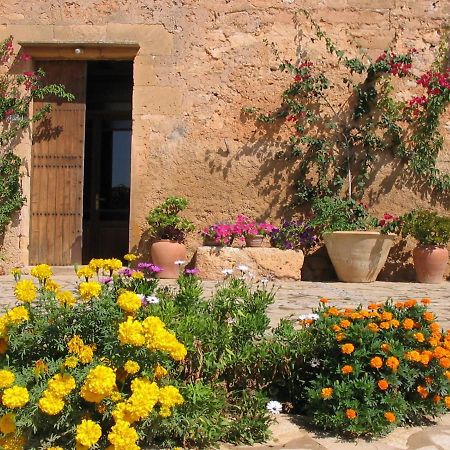 Finca Sa Cova Vella Manacor  Eksteriør billede