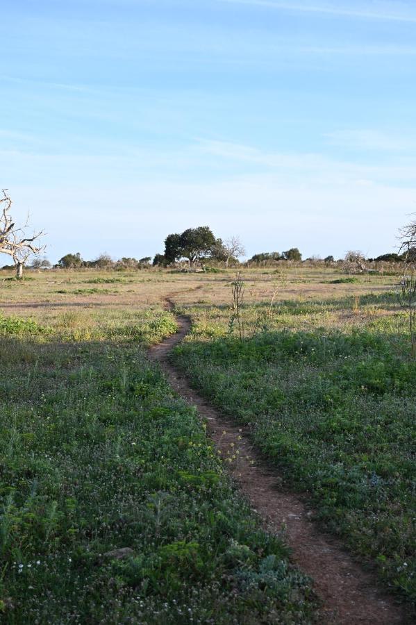 Finca Sa Cova Vella Manacor  Eksteriør billede