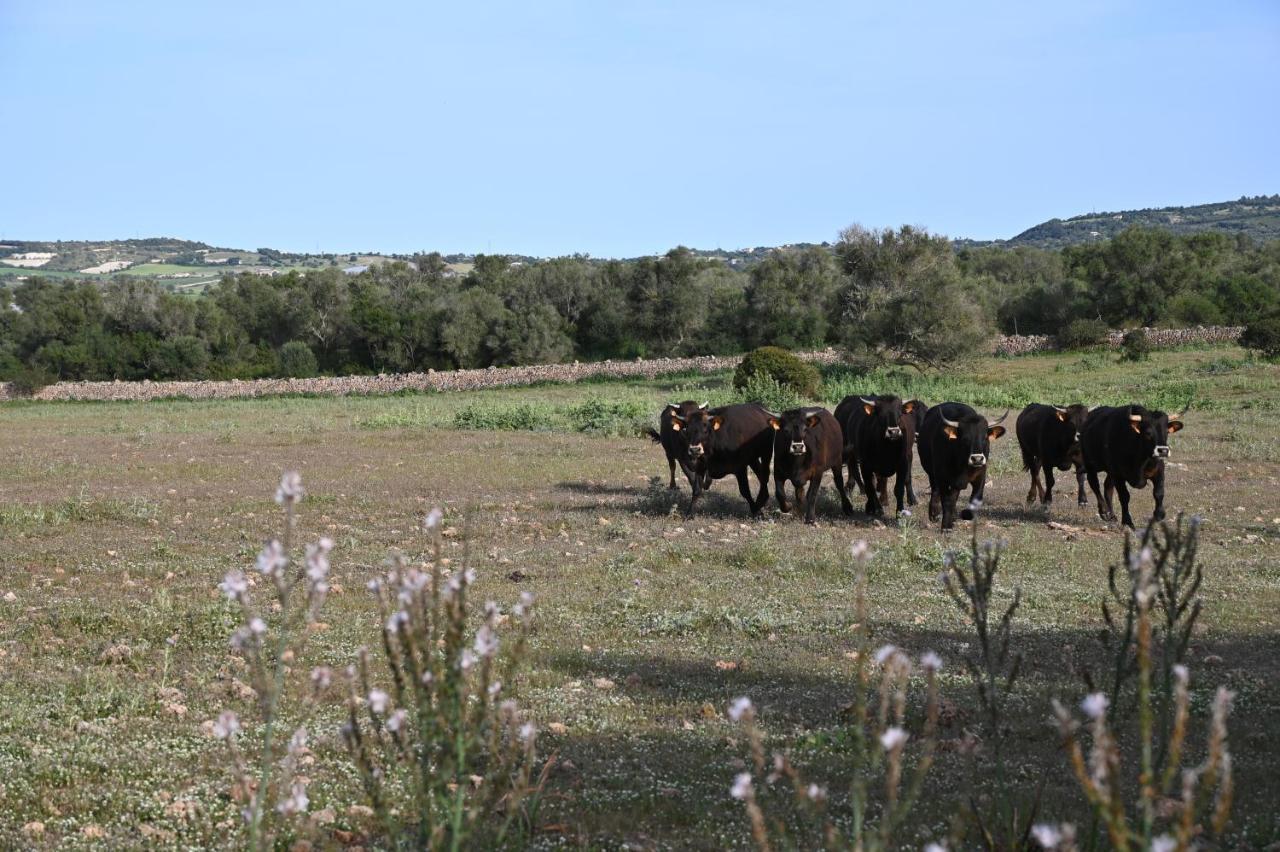 Finca Sa Cova Vella Manacor  Eksteriør billede