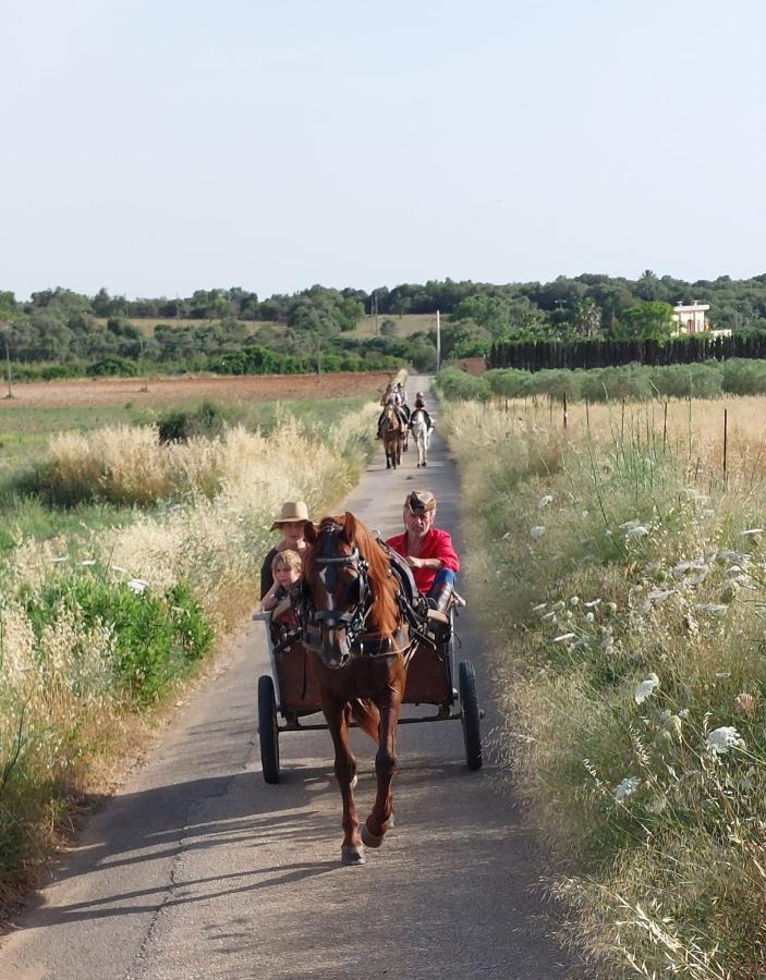 Finca Sa Cova Vella Manacor  Eksteriør billede