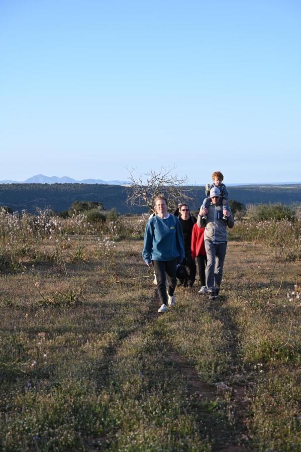Finca Sa Cova Vella Manacor  Eksteriør billede