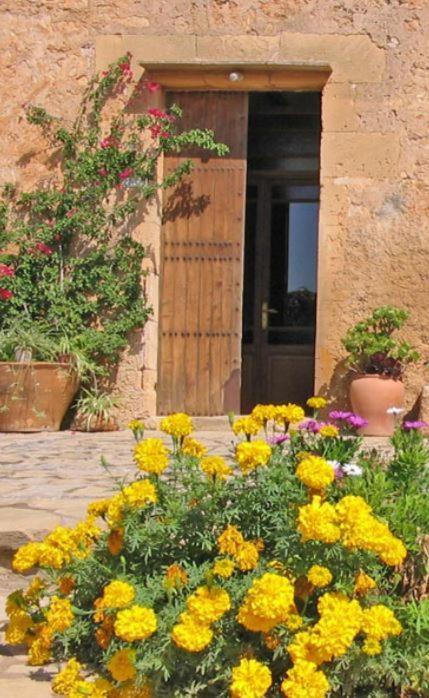 Finca Sa Cova Vella Manacor  Eksteriør billede