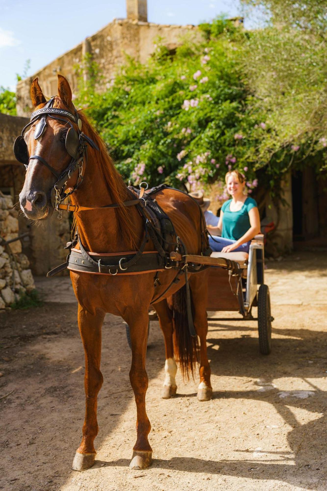 Finca Sa Cova Vella Manacor  Eksteriør billede