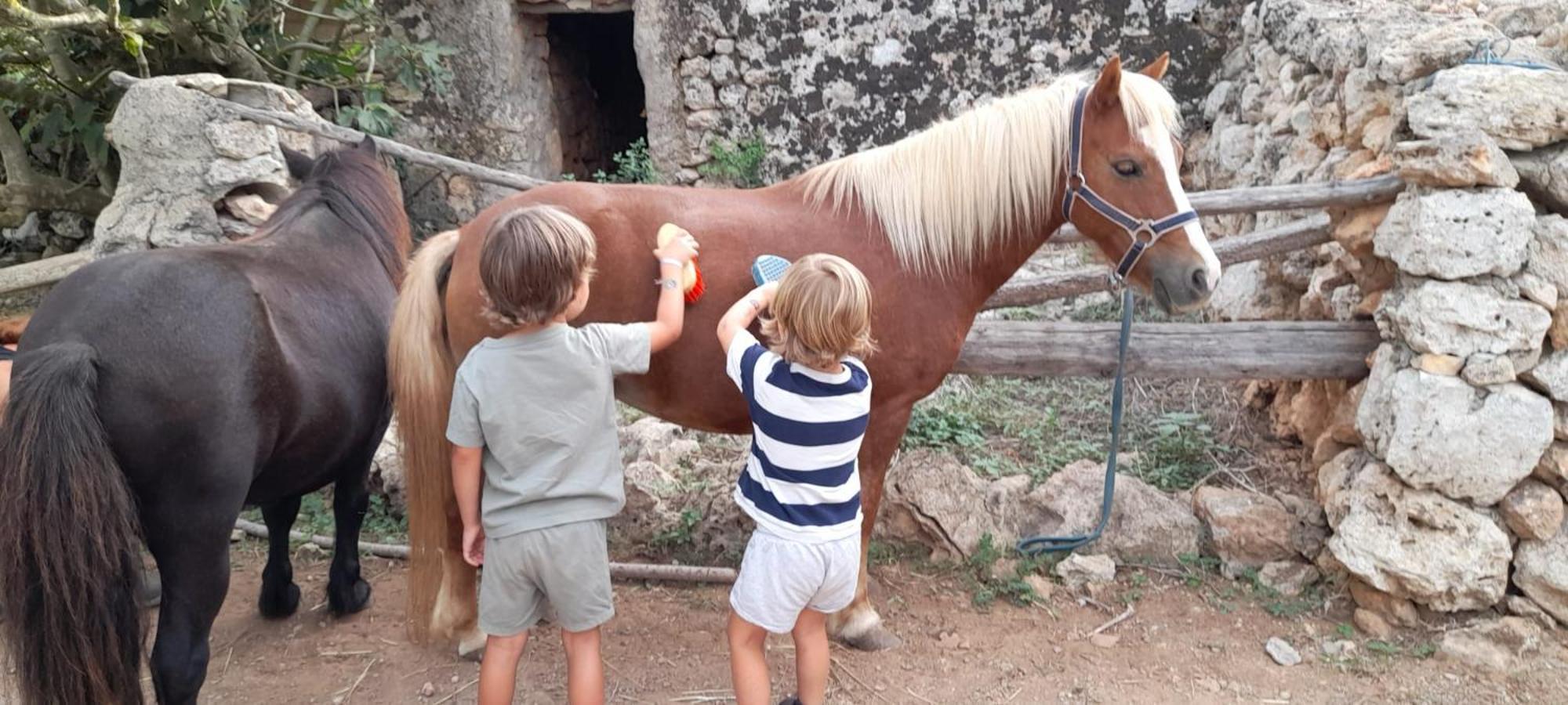 Finca Sa Cova Vella Manacor  Eksteriør billede
